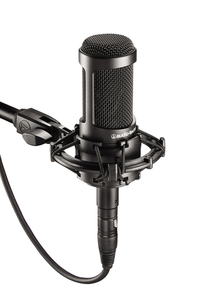 Audio Technica Студийные микрофоны Audio Technica AT2035 