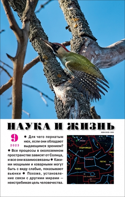 Книга: Журнал Наука и жизнь Наука и жизнь. 2023. № 9 974632, 974634