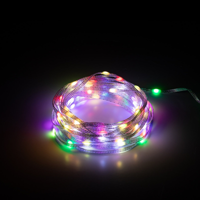 ЭРА 10м. Гирлянда RGB Эра ERASG -01 умная нить управление через мобильное приложение (Б0060432) Б0060432