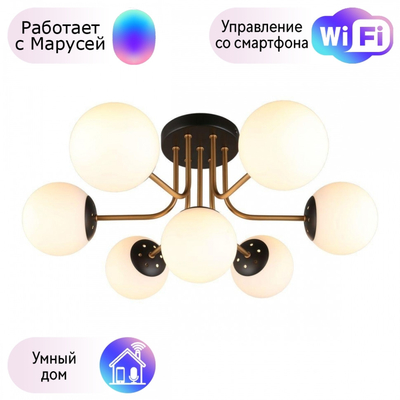 Aployt Люстра с поддержкой Маруси потолочная APLOYT APL.906.17.07-M APL.906.17.07-M