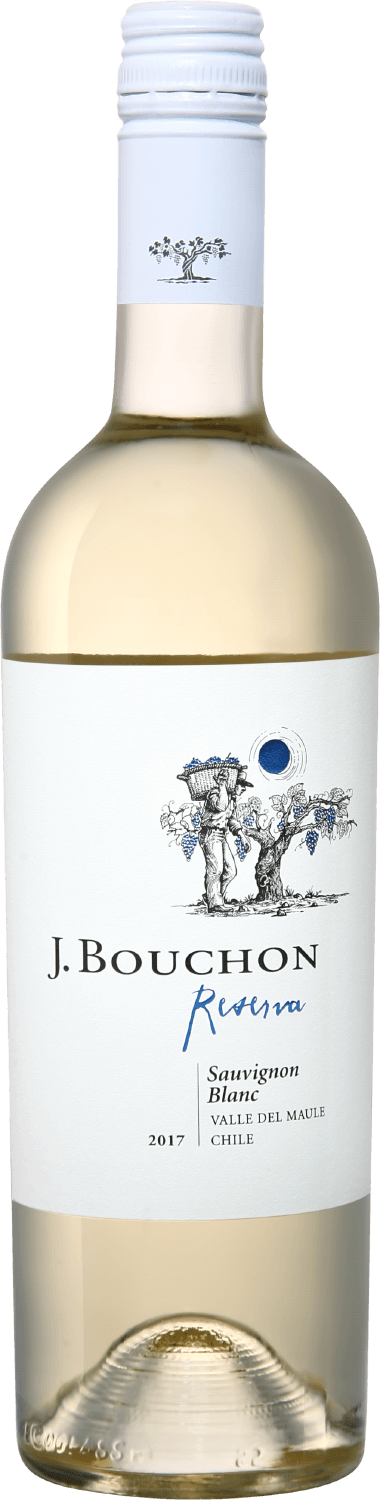 Viña J. Bouchon Sauvignon Blanc Reserva Maule DO J. Bouchon Viña J. Bouchon 