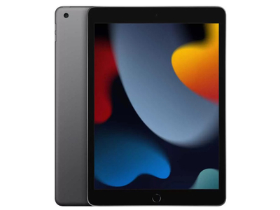 Apple Планшет Apple iPad 10.2 2021 256Gb Wi-Fi Space Gray (iPadOS 15, A13 Bionic, 10.2", 3072Mb/256Gb, ) [MK2N3ZP/A] MK2N3ZP/A