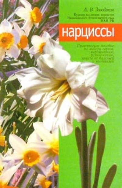 Книга: Издательский Дом МСП Нарциссы (Завадская Л.) 978-5-7578-0154-4