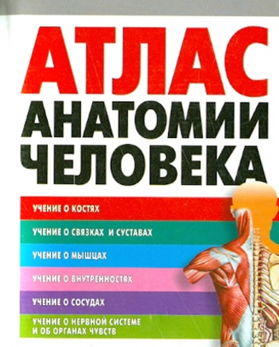 Книга: АСТ Атлас анатомии человека (Воробьев Владимир Петрович) 978-5-17-030850-7