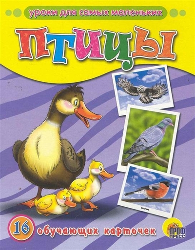 Книга: Проф-Пресс Птицы (Визаулин Александр) 9785378030804