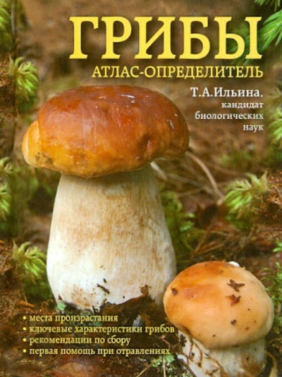 Книга: Эксмо Грибы. Атлас-определитель (Ильина Татьяна Александровна) 9785699568369