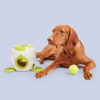 HiPet HiPet Игрушка для собак Интерактивная Fetch&Treat 