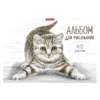 Erich Krause Альбом для рисования на клею ErichKrause Tabby, А4, 40 листов Erich Krause 