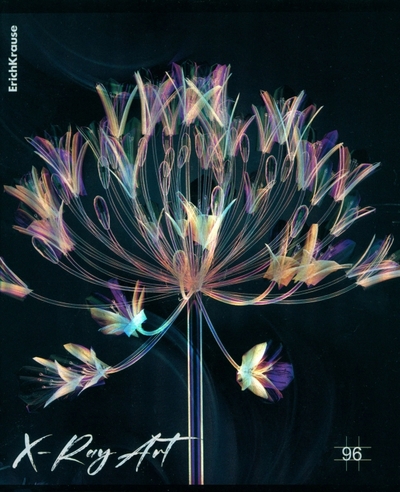 Erich Krause Тетрадь общая X-Ray Art, А5, 96 листов, клетка, в ассортименте Erich Krause 