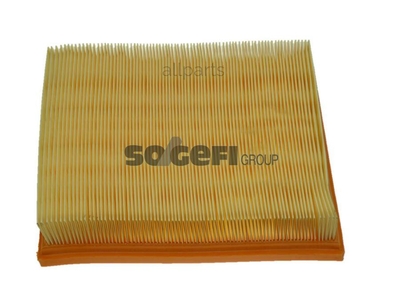 FRAM Фильтр воздушный FRAM CA9102 