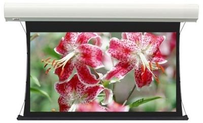 Lumien Проекционный экран Lumien LCTC-100123 