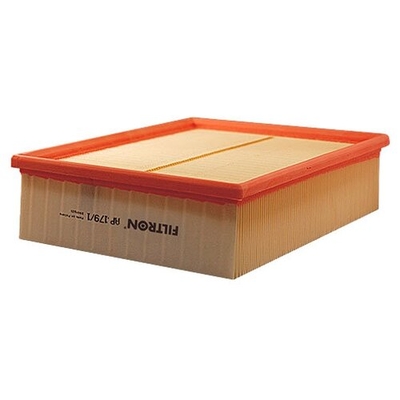 Filtron Воздушный фильтр Filtron AP179/1 