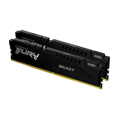 Kingston Оперативная память DDR5 Kingston KF552C40BBK2-16 