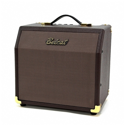 Belcat Гитарные комбо Belcat Acoustic-15C 