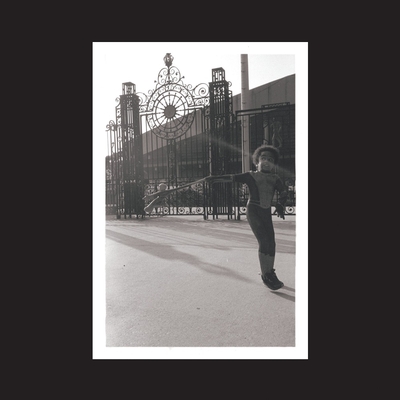 IAO Электроника IAO Irreversible Entanglements - Open The Gates (Black Vinyl 2LP) 