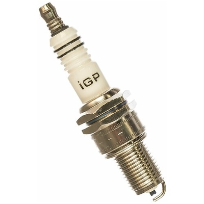 Champion Свеча зажигания Champion IGP F5TC (двухтакные двигатели GG950,951,GP40-II/четырехтактные верхнеклапанные двиг) 
