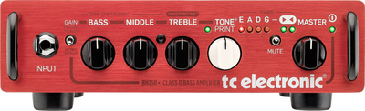 TC Electronic Гитарные усилители TC ELECTRONIC BH250 