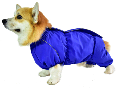 JackyDog JackyDog дождевик на молнии "Корги" (р.55, Мальчик) 