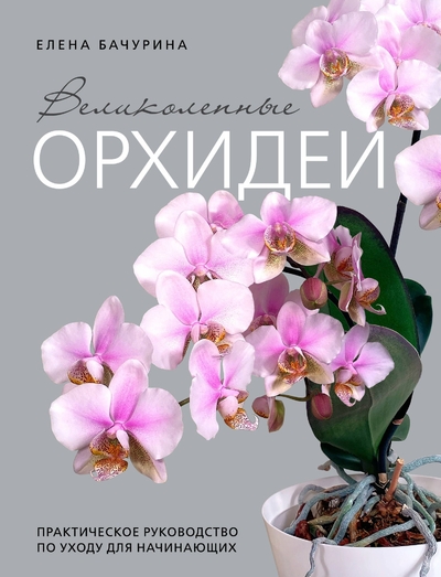 Книга: Эксмо Великолепные орхидеи. Практичное руководство по уходу для начинающих 978-5-04-199445-7
