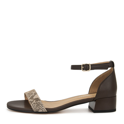 Salamander SALAMANDER 233-1143A-1109