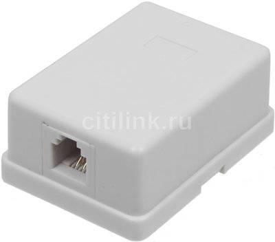 LANMASTER Розетка Lanmaster (TWT-SS1-12-WH) RJ12 белый 
