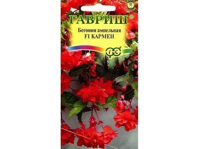 Утконос Бегония Кармен F1 пробирка Гавриш Утконос 