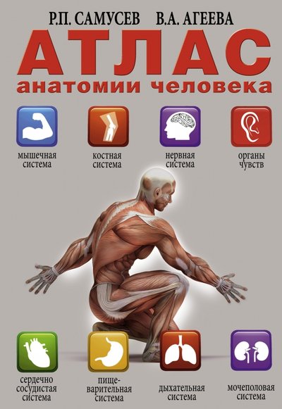 Книга: АСТ Атлас анатомии человека (Самусев Рудольф Павлович, Агеева Валентина Анатольевна) 978-5-17-092057-0