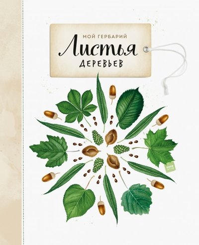 Книга: Манн, Иванов и Фербер Мой гербарий. Листья деревьев (Анна Борисовна Васильева) 978-5-00100-851-4,978-5-00117-092-1
