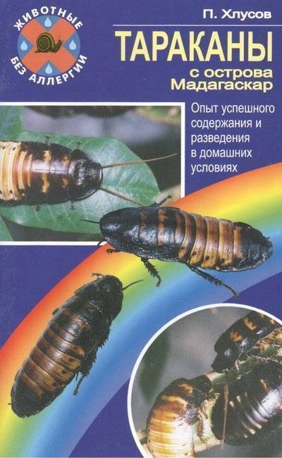 Книга: Аквариум Тараканы с острова Мадагаскар. Опыт успешного содержания и разведения в домашних условиях 9785993401225