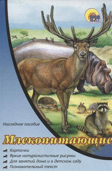 Книга: Проф-Пресс Млекопитающие. Карточки. Яркие натуралистичные рисунки. Для занятий дома и в детском саду. Познавательный текст 9785378198627