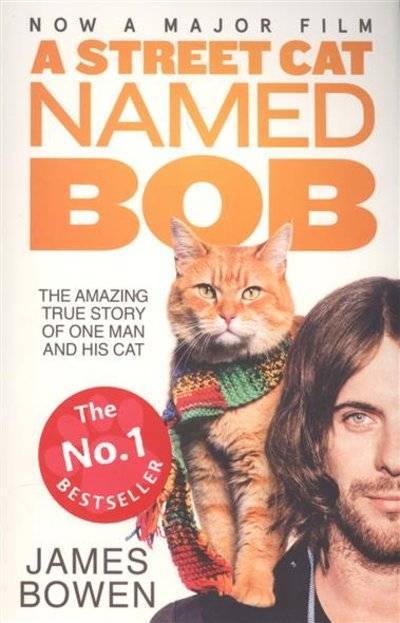 Книга: Hodder & Stoughton A Street Cat Named Bob: How one man and his cat found hope on the streets 9781473633360
