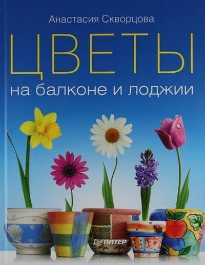 Книга: ПИТЕР Цветы на балконе и лоджии (Анастасия Скворцова) 9785459003215