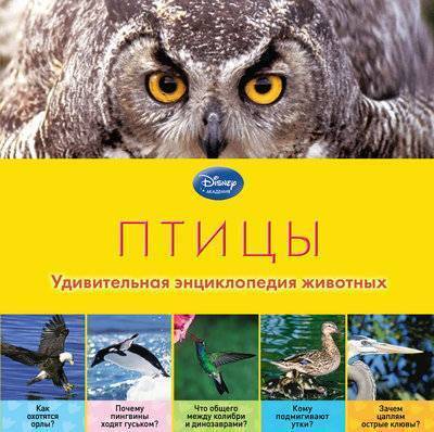 Книга: Эксмо Птицы (Волцит Петр Михайлович) 978-5-699-62558-1