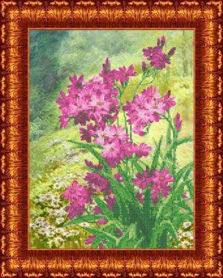 Каролинка кбц 3039 Луговые цветы - схема (Каролинка)