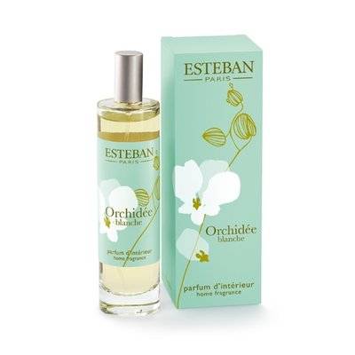 Esteban Интерьерные духи Esteban Белая орхидея ORB-003 