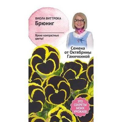 Октябрина Ганичкина Семена цветов Октябрина Ганичкина Виола Брюниг Семена от Октябрины Ганичкиной 10 шт 