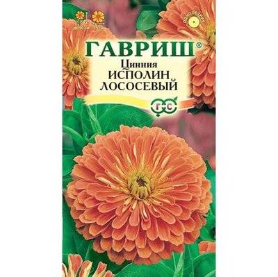 ГАВРИШ Семена цветов ГАВРИШ Цинния Исполин лососевый 