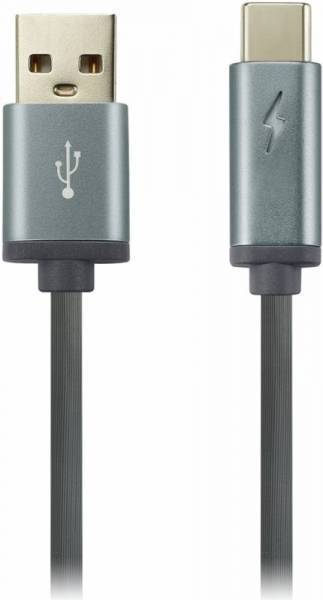 Canyon Canyon USB Type C - USB 2.0 1м (серый) CNS-USBC6DG 