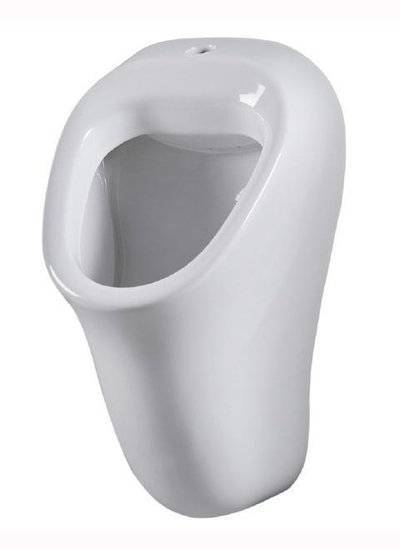 Am pm Писсуар Am pm C757005wh 