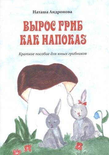 Книга: Издание книг ком Вырос гриб как напоказ (Наташа Андронова) 978-5-907250-08-6