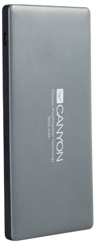 Canyon Портативное зарядное устройство Canyon CNS-TPBP5 5000 мАч CNS-TPBP5DG