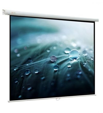 ViewScreen Экран Viewscreen Lotus WLO-4308 WLO-4308