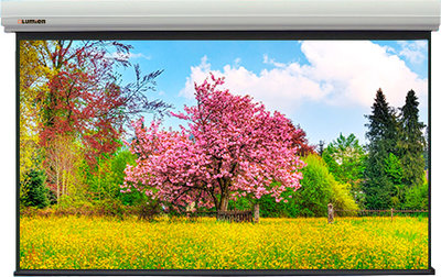 Lumien Экран Lumien LMLC-100116 