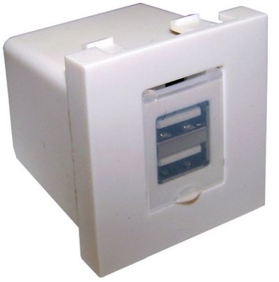 LANMASTER Модуль Lanmaster LAN-EZ45x45-2xUSB-WH 