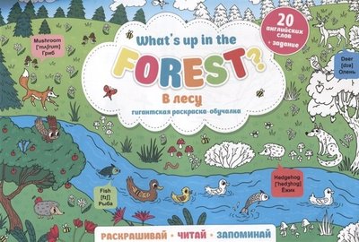 Книга: Феникс + What`s up in the forest. В лесу 4606008429957