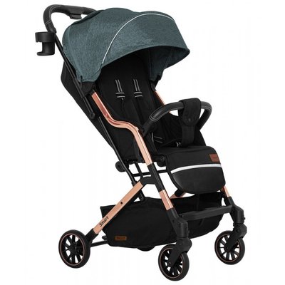 Baby Tilly Прогулочная коляска Baby Tilly Smart T-169