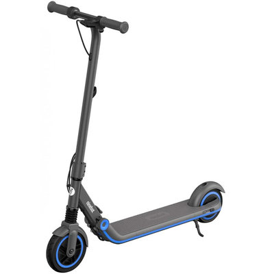 Ninebot Электросамокат Ninebot By Segway eKickScooter Zing E10 