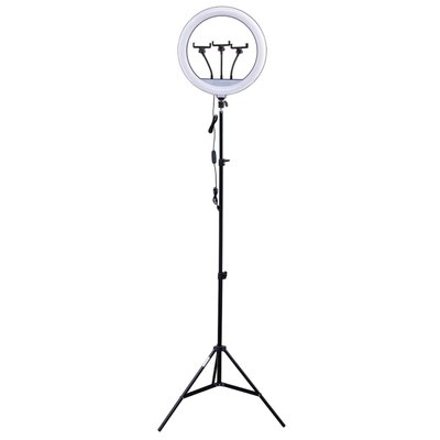 Rekam LED осветитель Rekam RL-36 LED Kit 