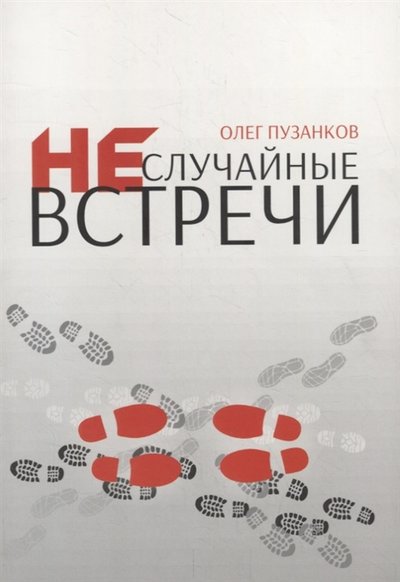 Книга: Библия для всех Неслучайные встречи (Пузанков О.) 978-5-7454-1527-2