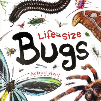 Книга: Igloo Books Life-size. Bugs 9781788107754